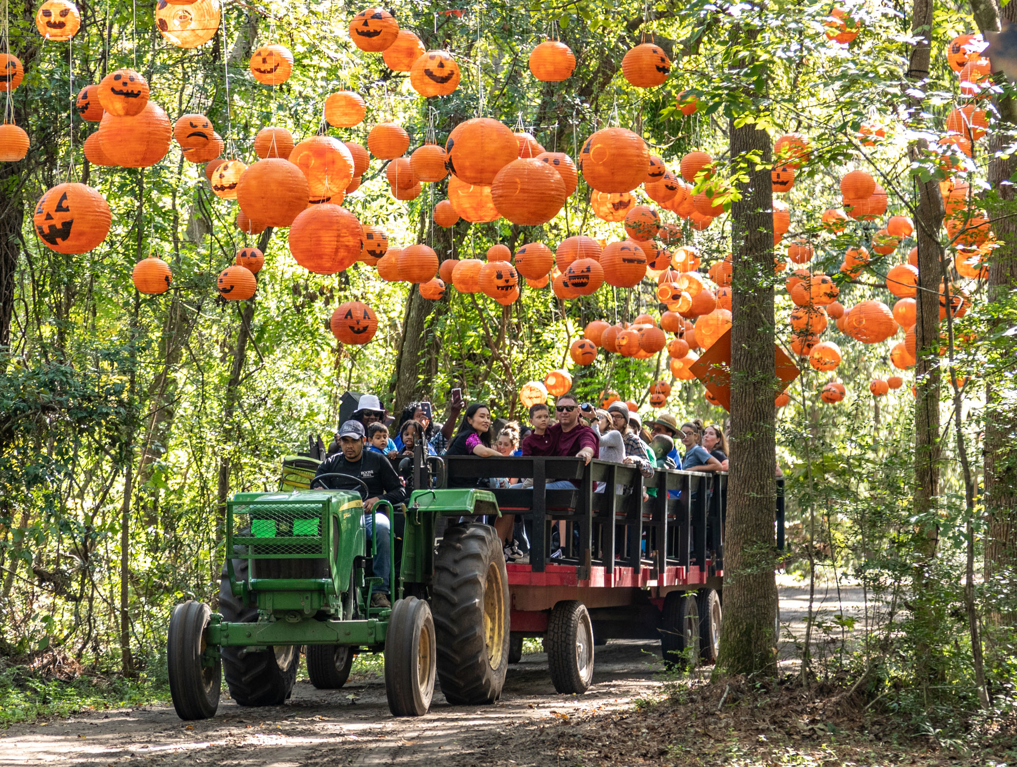 The Boone Hall Pumpkin Patch Boone Hall Plantation & Gardens